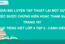 Luyện tập thuật lại một sự việc được chứng kiến hoặc tham gia trang 107 SGK Tiếng Việt 4 tập 2 Cánh diều>