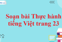 Soạn bài Thực hành tiếng Việt trang 23 SGK Ngữ văn 11 tập 2 Cánh diều - chi tiết>