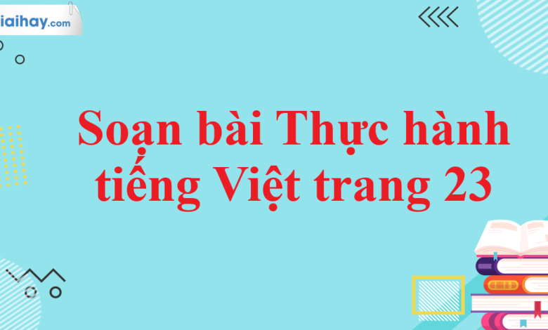 Soạn bài Thực hành tiếng Việt trang 23 SGK Ngữ văn 11 tập 2 Cánh diều - chi tiết>