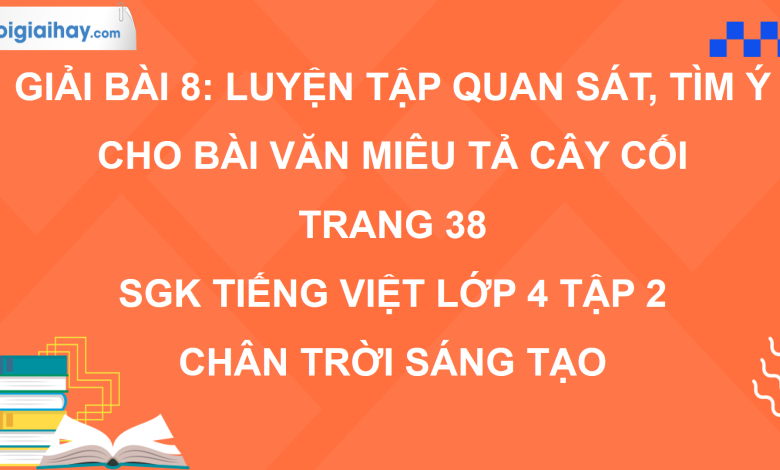 Bài 8: Luyện tập quan sát, tìm ý cho bài văn miêu tả cây cối trang 38 SGK Tiếng Việt 4 tập 2 Chân trời sáng tạo>