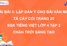 Bài 3: Lập dàn ý cho bài văn miêu tả cây cối trang 20 SGK Tiếng Việt 4 tập 2 Chân trời sáng tạo>