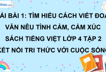 Bài 1: Tìm hiểu cách viết đoạn văn nêu tình cảm, cảm xúc trang 10 SGK Tiếng Việt lớp 4 tập 2 Kết nối tri thức với cuộc sống>