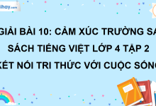 Bài 10: Cảm xúc Trường Sa trang 44 SGK Tiếng Việt lớp 4 tập 2 Kết nối tri thức với cuộc sống>