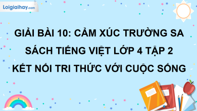 Bài 10: Cảm xúc Trường Sa trang 44 SGK Tiếng Việt lớp 4 tập 2 Kết nối tri thức với cuộc sống>