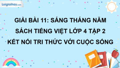 Bài 11: Sáng tháng Năm trang 48 SGK Tiếng Việt lớp 4 tập 2 Kết nối tri thức với cuộc sống>