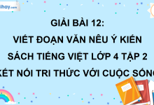 Bài 12: Viết đoạn văn nêu ý kiến trang 53 SGK Tiếng Việt lớp 4 tập 2 Kết nối tri thức với cuộc sống>