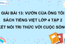 Bài 13: Vườn của ông tôi trang 55 SGK Tiếng Việt lớp 4 tập 2 Kết nối tri thức với cuộc sống>