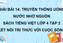 Bài 14: Truyền thống uống nước nhớ nguồn trang 62 SGK Tiếng Việt lớp 4 tập 2 Kết nối tri thức với cuộc sống>