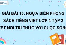 Bài 16: Ngựa biên phòng trang 67 SGK Tiếng Việt lớp 4 tập 2 Kết nối tri thức với cuộc sống>