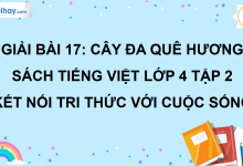 Bài 17: Cây đa quê hương trang 80 SGK Tiếng Việt lớp 4 tập 2 Kết nối tri thức với cuộc sống>