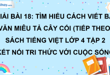 Bài 18: Tìm hiểu cách viết bài văn miêu tả cây cối (tiếp theo) trang 87 SGK Tiếng Việt lớp 4 tập 2 Kết nối tri thức với cuộc sống>
