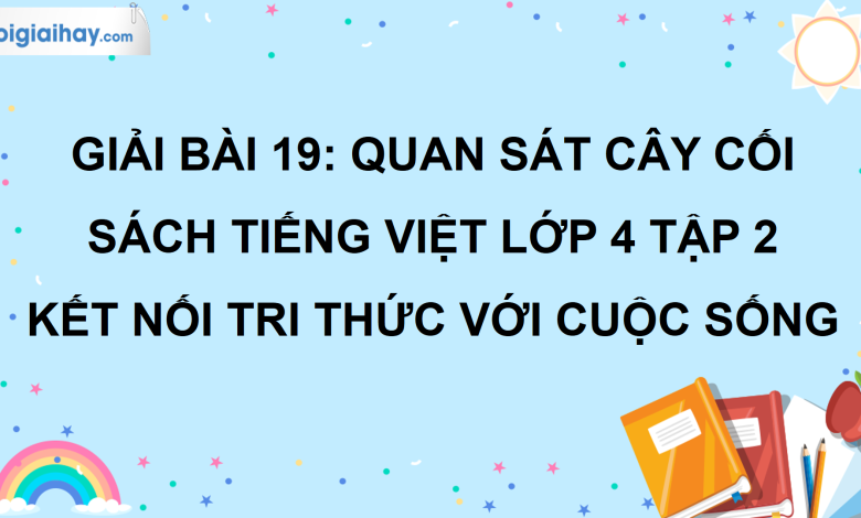 Bài 19: Quan sát cây cối trang 91 SGK Tiếng Việt lớp 4 tập 2 Kết nối tri thức với cuộc sống>