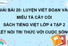Bài 20: Luyện viết đoạn văn miêu tả cây cối trang 95 SGK Tiếng Việt lớp 4 tập 2 Kết nối tri thức với cuộc sống>