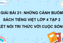 Bài 21: Những cánh buồm trang 98 SGK Tiếng Việt lớp 4 tập 2 Kết nối tri thức với cuộc sống>