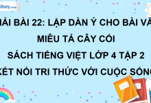 Bài 22: Lập dàn ý cho bài văn miêu tả cây cối trang 104 SGK Tiếng Việt lớp 4 tập 2 Kết nối tri thức với cuộc sống>