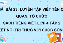 Bài 23: Luyện tập viết tên cơ quan, tổ chức trang 107 SGK Tiếng Việt lớp 4 tập 2 Kết nối tri thức với cuộc sống>