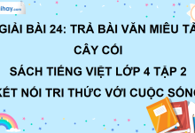 Bài 24: Trả bài văn miêu tả cây cối trang 110 SGK Tiếng Việt lớp 4 tập 2 Kết nối tri thức với cuộc sống>