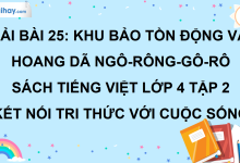 Bài 25: Khu bảo tồn động vật hoang dã Ngô-rông-gô-rô trang 113 SGK Tiếng Việt lớp 4 tập 2 Kết nối tri thức với cuộc sống>