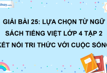 Bài 25: Lựa chọn từ ngữ trang 114 SGK Tiếng Việt lớp 4 tập 2 Kết nối tri thức với cuộc sống>