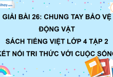 Bài 26: Chung tay bảo vệ động vật trang 119 SGK Tiếng Việt lớp 4 tập 2 Kết nối tri thức với cuộc sống>