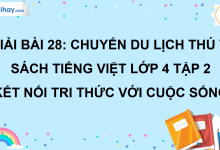Bài 28: Chuyến du lịch thú vị trang 123 SGK Tiếng Việt lớp 4 tập 2 Kết nối tri thức với cuộc sống>