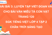 Bài 3: Luyện tập viết đoạn văn cho bài văn miêu tả con vật trang 120 SGK Tiếng Việt 4 tập 2 Chân trời sáng tạo>