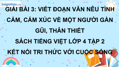Bài 3: Viết đoạn văn nêu tình cảm, cảm xúc về một người gần gũi, thân thiết trang 19 SGK Tiếng Việt lớp 4 tập 2 Kết nối tri thức với cuộc sống>
