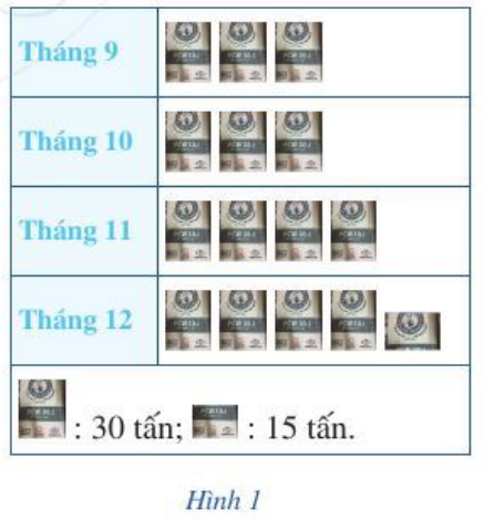 Bài 3 trang 65 Toán 6 Tập 2 Cánh diều | Giải Toán lớp 6