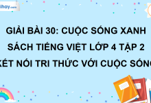 Bài 30: Cuộc sống xanh trang 133 SGK Tiếng Việt lớp 4 tập 2 Kết nối tri thức với cuộc sống>