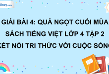 Bài 4: Quả ngọt cuối mùa trang 20 SGK Tiếng Việt lớp 4 tập 2 Kết nối tri thức với cuộc sống>