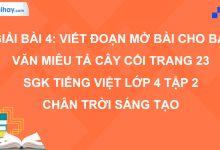 Bài 4: Viết đoạn mở bài cho bài văn miêu tả cây cối trang 23 SGK Tiếng Việt 4 tập 2 Chân trời sáng tạo>