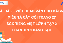 Bài 5: Viết đoạn văn cho bài văn miêu tả cây cối trang 27 SGK Tiếng Việt 4 tập 2 Chân trời sáng tạo>