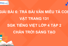 Bài 6: Trả bài văn miêu tả con vật trang 131 SGK Tiếng Việt 4 tập 2 Chân trời sáng tạo>