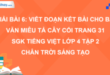 Bài 6: Viết đoạn kết bài cho bài văn miêu tả cây cối trang 31 SGK Tiếng Việt 4 tập 2 Chân trời sáng tạo>