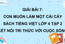 Bài 7: Con muốn làm một cái cây trang 31 SGK Tiếng Việt lớp 4 tập 2 Kết nối tri thức với cuộc sống>