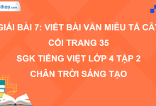 Bài 7: Viết bài văn miêu tả cây cối trang 35 SGK Tiếng Việt 4 tập 2 Chân trời sáng tạo>