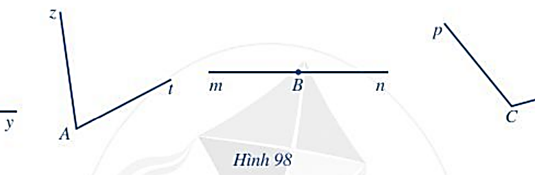 Bài 8 trang 103 Toán 6 Tập 2 Cánh diều | Giải Toán lớp 6