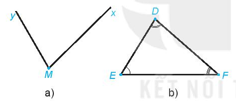 Bài 8.25 trang 60 Toán lớp 6 Tập 2 | Kết nối tri thức Giải Toán lớp 6