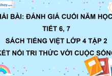 Bài: Đánh giá cuối năm học - Tiết 6, 7 trang 139 SGK Tiếng Việt lớp 4 tập 2 Kết nối tri thức với cuộc sống>