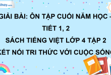 Bài: Ôn tập cuối năm học - Tiết 1, 2 trang 134 SGK Tiếng Việt lớp 4 tập 2 Kết nối tri thức với cuộc sống>