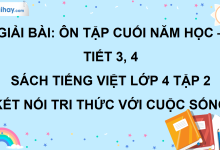 Bài: Ôn tập cuối năm học - Tiết 3, 4 trang 136 SGK Tiếng Việt lớp 4 tập 2 Kết nối tri thức với cuộc sống>