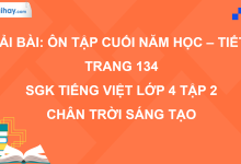 Bài: Ôn tập cuối năm học - Tiết 3 trang 134 SGK Tiếng Việt 4 tập 2 Chân trời sáng tạo>
