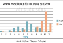 Biểu đồ Hình 9.20 cho biết lượng mưa trung bình các tháng trong năm 2018 tại hai trạm
