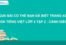 Có thể bạn đã biết trang 43 SGK Tiếng Việt 4 tập 2 Cánh diều>
