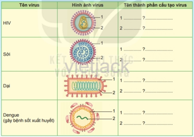 Dựa trên hình dạng và cấu tạo của virus mà em đã học, quan sát và nêu tên các thành phần