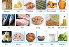 Hãy kể tên các lương thực có trong hình 15.1 và một số thức ăn được chế biến từ các loại lương thực