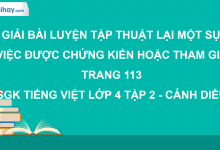 Luyện tập thuật lại một sự việc được chứng kiến hoặc tham gia trang 113 SGK Tiếng Việt 4 tập 2 Cánh diều>