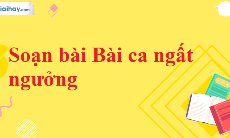 Soạn bài Bài ca ngất ngưởng SGK Ngữ văn 11 tập 2 Kết nối tri thức - chi tiết>