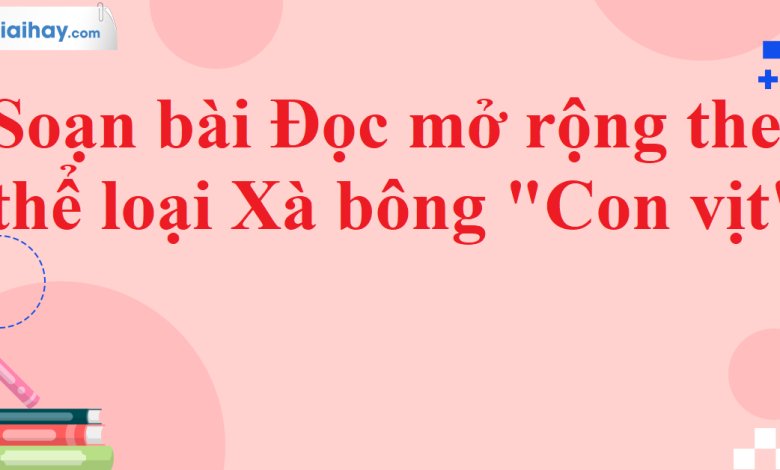 Soạn bài Đọc mở rộng theo thể loại Xà bông “con vịt” SGK Ngữ văn 11 tập 2 Chân trời sáng tạo - chi tiết>