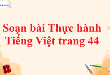 Soạn bài Thực hành Tiếng Việt trang 44 SGK Ngữ văn 11 tập 2 Cánh diều - chi tiết>
